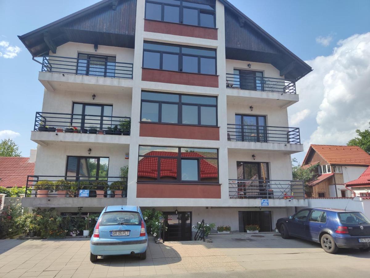 Studioul De Vis Daire Braşov Dış mekan fotoğraf