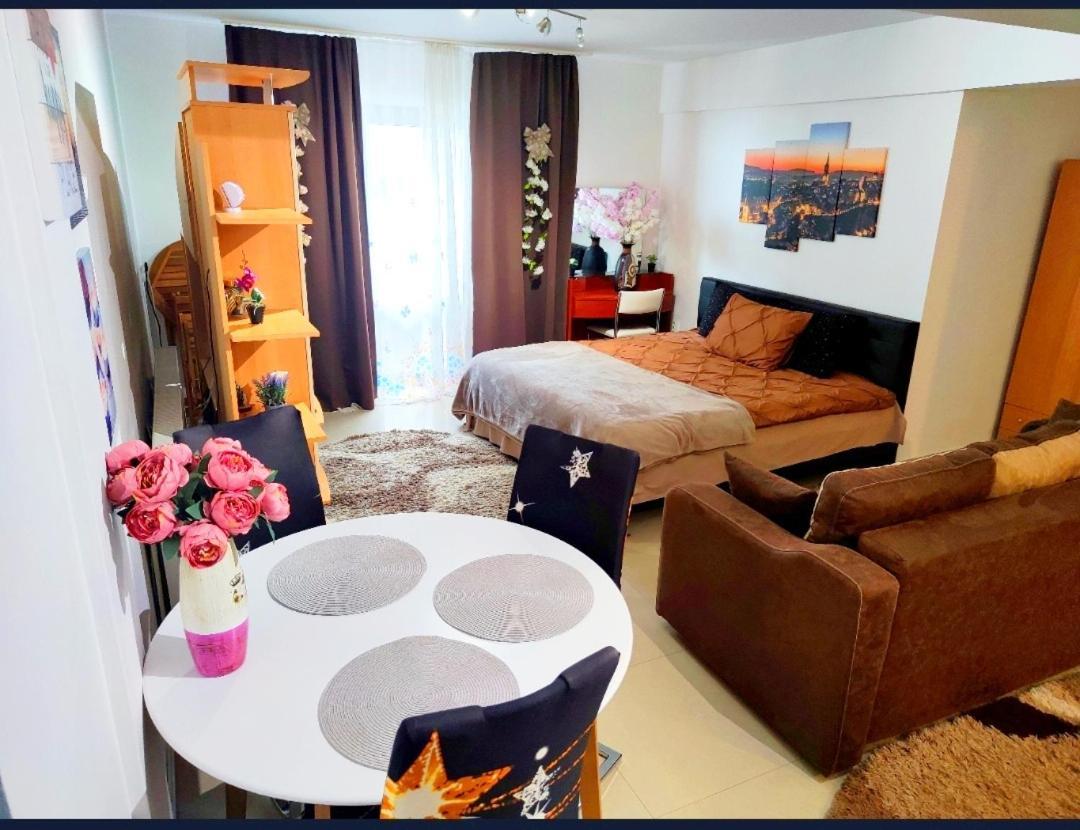 Studioul De Vis Daire Braşov Dış mekan fotoğraf